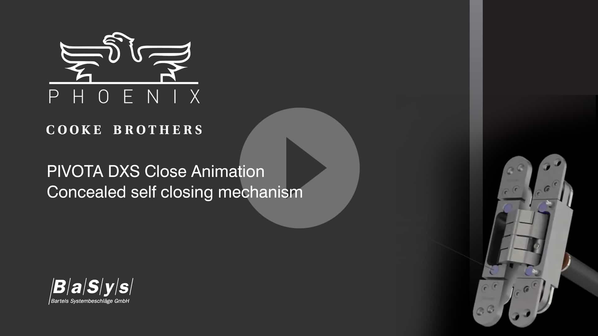 PIVOTA DX Close Animation