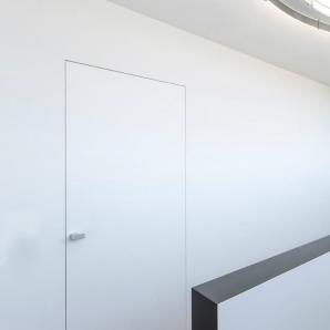 Concealed Flush Door Systems