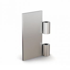 Hinge Half Leaf - Width 30mm x Length 100mm - Thickness 4mm - Stainless Steel 304